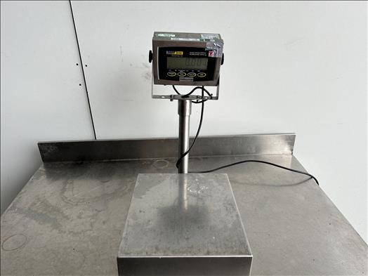 platform scale