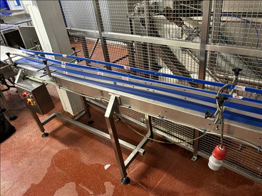 Stainless conveyor