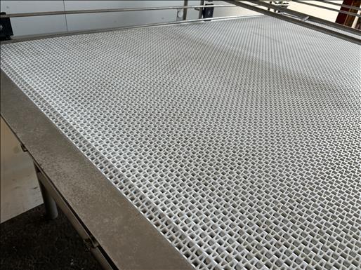 Stainless conveyor