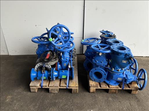 Flanged gate valves