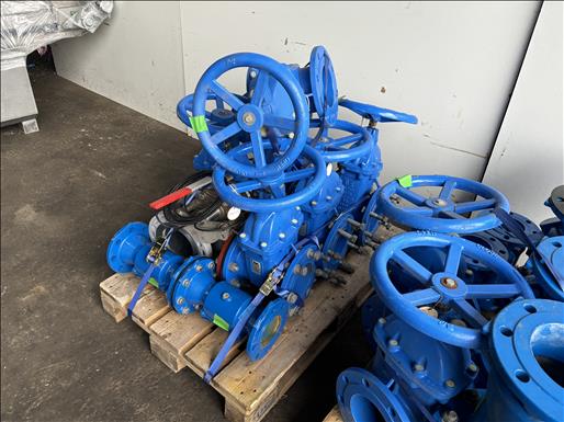 Flanged gate valves