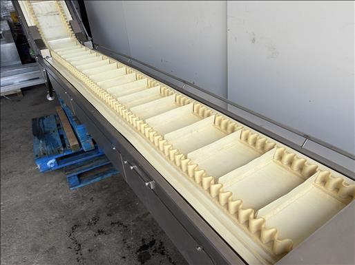 Flighted elevator conveyor